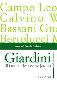 anteprima